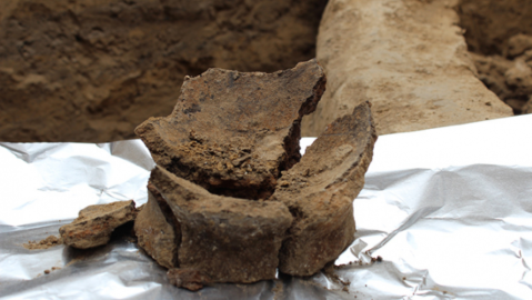 Los restos fueron encontrados en Georgia.
