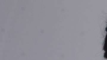 Carolina Gaitán, actriz colombiana.