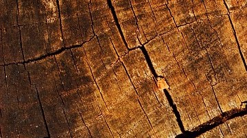 Las posibilidades de esta bebida siguen sorprendiéndonos.