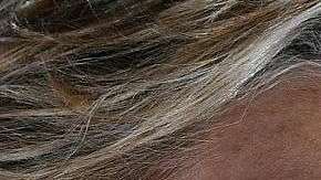 Hillary Clinton y Donald Trump.