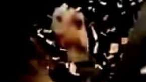 El festejo de San Francisco Deltas tras ganar el título de la NASL frente al NY Cosmos.