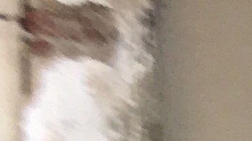 La ciudad busca opciones para proteger a los nuyorquinos desamparados.