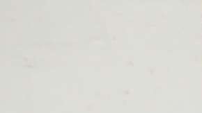 La actriz también posó como todo una Raiderette.