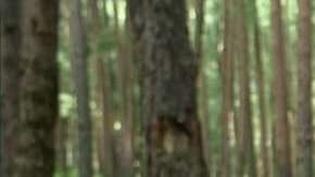 Rafael Amaya es Aurelio Casillas en "El Señor de los Cielos"