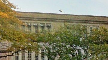 NYPD investiga si hay otras posibles víctimas en la escuela.