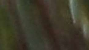 Principe Harry y Meghan Markle.