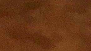 La Fiscalía General de Nueva York lanzó la página ag.ny.gov/fakecomments .