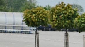 Gusto, necesidad y presupuesto son básicos.