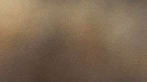 Detenido el pasado 12 de febrero por agentes de la migra bajo sospechas de tráfico de indocumentados cuando hacía un servicio de Uber