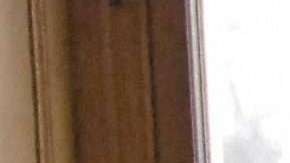 Director of French research laboratory,