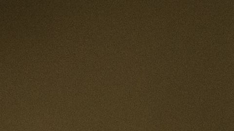 Zonas rurales de Colorado han sido beneficiadas con la llegada de inmigrantes.