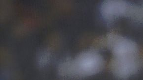 Shohei Ohtani  Masterpress/Getty Images