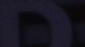 Alec Baldwin estuvo casado con la también actriz Kim Basinger.