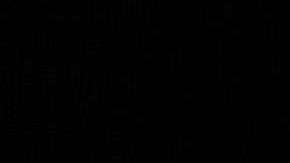 Ni el propio IRS puede confirmar que los impuestos de Trump están bajo auditoría