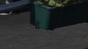 Imagen de archivo de Maradona y su hija Gianinna