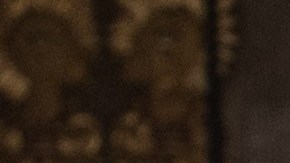 El presidente Trump en Mar-a-Lago.