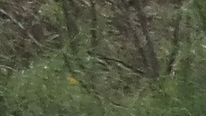 La Patrulla Fronteriza recalca los peligros de la zona