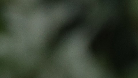 Donald Trump Jr. fue criticado en redes sociales.