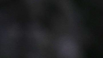 El presidente Trump defiende a Roy Moore.