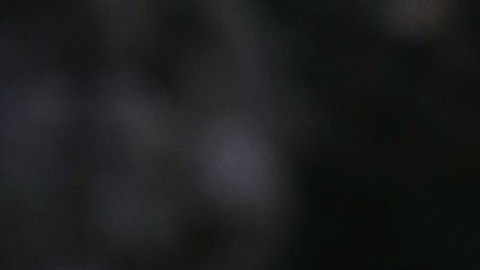 El presidente Trump defiende a Roy Moore.