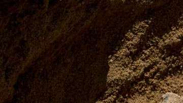 El descubrimiento fue llevado a cabo por investigadores de la Universidad de Portsmouth.