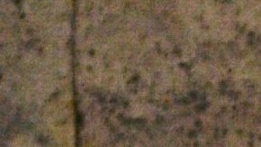 Los hechos ocurrieron en Oregon.