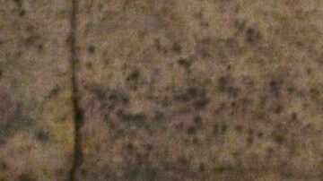 Los hechos ocurrieron en Oregon.