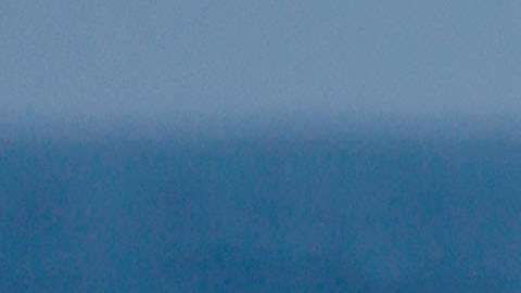 Ballena whale
