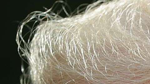 Crece la polémica por los  videos anti-musulmanes que re publicó Trump en Twitter