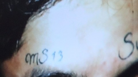 El gobierno de EEUU lanzó una cruzada contra la MS-13.
