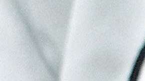 Por solo $50 mil dólares la empresa basada en Texas podrá replicar a su perro