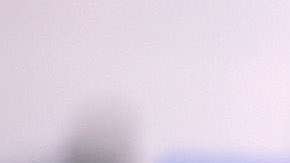 Por problemas de la oficina de correos la aplicaciones llegaron tarde por lo tanto no fueron aceptadas