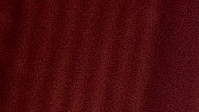 El Dr. Steve Larson, Director Ejecutivo de Puentes de Salud recibe un cheque de 10,000 dólares de HBO.  (Lisa Lake/Getty Images for HBO)