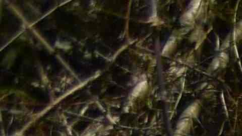 Residentes del pueblo de Naranjito, al suroeste de San Juan, se aprovisionan de agua de un manantial creado por los deslizamientos de tierra.