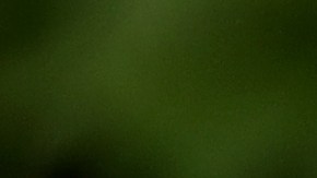 El esposo de Ivanka Trump no informó todas sus relaciones financieras.