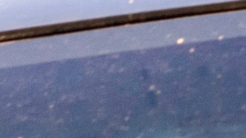 Paul Manafort está en prisión domiciliaria.