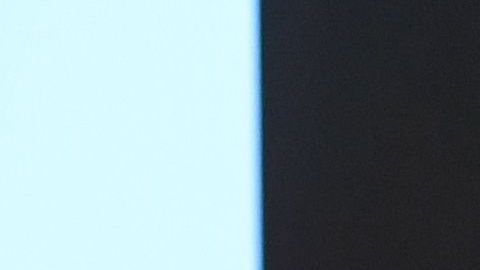 La primera dama ha lucido impecable, según expertos, durante su viaje por Asia.