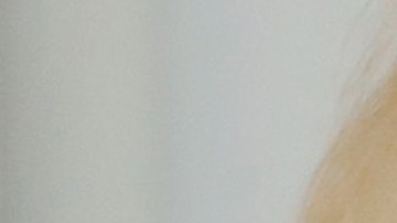 Un 60% de los americanos no confian en las investigaciones de Donald Trump sobre la influencia rusa en las elecciones de 2016.