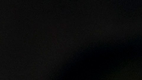 El presidente Trump volvió a EEUU tras su gira por Asia.
