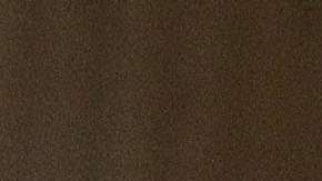 El presidente Trump presiona al Senado.