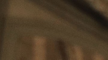 Los pavos participarán en la ceremonia de este martes.