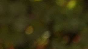 El presidente Trump estuvo acopañado de la primera dama Melania y su hijo Barrón.