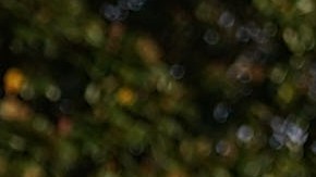 El presidente Trump enfrenta polémica por