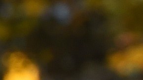 El NYPD promete garantizar el desfile más seguro de la historia.  (Photo credit shouldTIMOTHY A. CLARY/AFP/Getty Images)