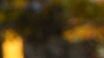 El NYPD promete garantizar el desfile más seguro de la historia.  (Photo credit shouldTIMOTHY A. CLARY/AFP/Getty Images)