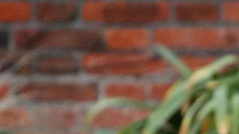 Meghan Markle y el príncipe Enrique.