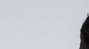 Danilo Carrera regresa a las telenovelas con "Hijas de la Luna"