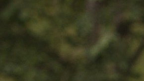 El cazador creyó disparar a  un venado.