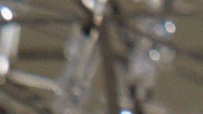 Hispanidad month18397