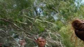 La Patrulla Fronteriza pierde agentes más rápido de lo que puede contratar nuevos agentes